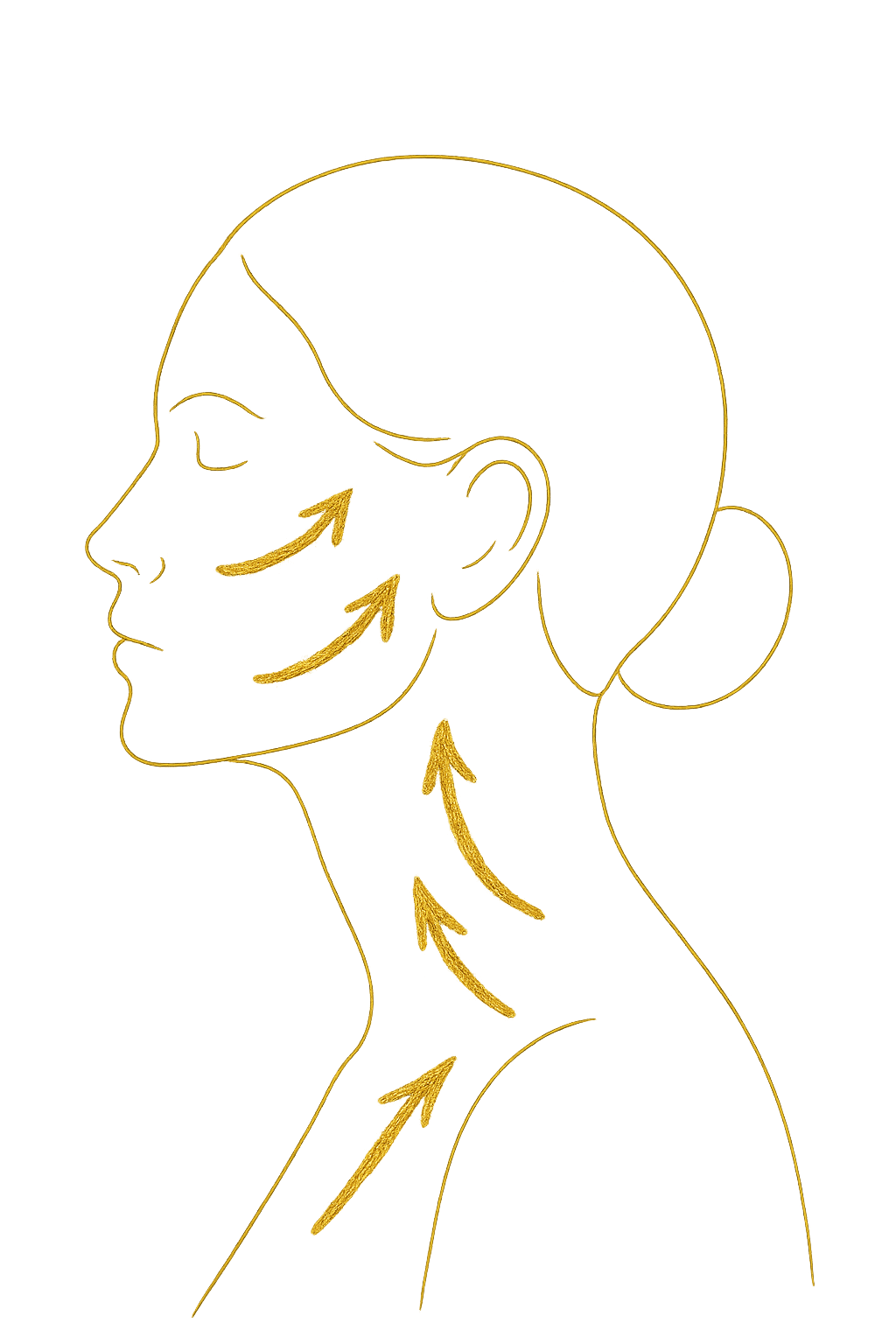 Face Contouring - Auckland - Interactive Therapies